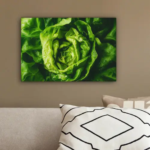 Groente - Sla - Groen canvas 2cm klein -sfeer3