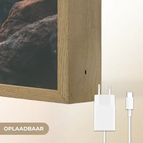 Papegaai - Vogel - Rots - Wit Light Box met batterij (Wandlamp) middel -USP_websiteoplaadbaarNL