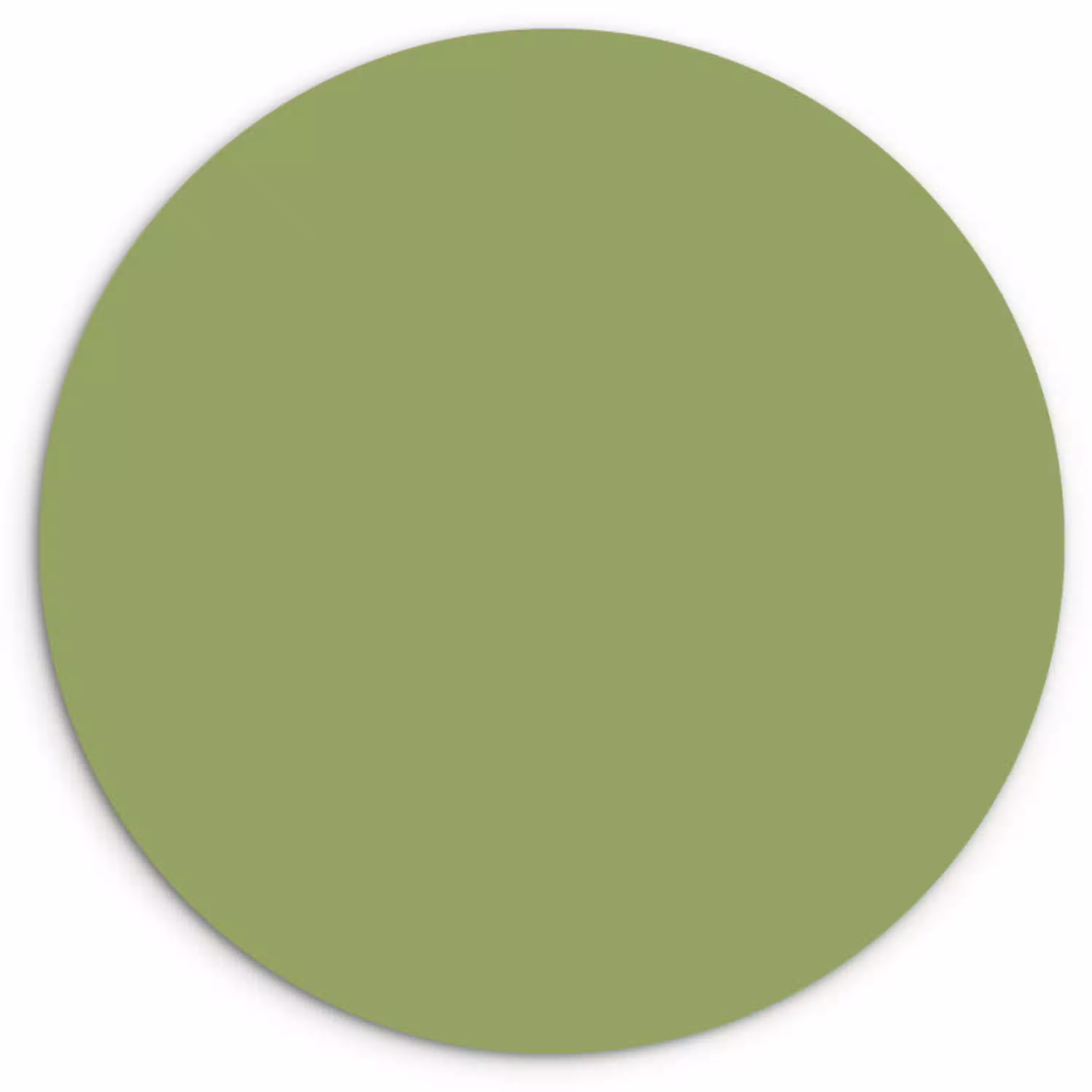Sage - Green - Groen Wandcirkel kunststof plaat 5mm dik klein 188 -3d