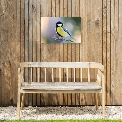 Koolmees op een Tak Tuinposter op houten frame 2 cm dik klein -sfeer4