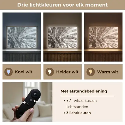Palmboom - Tropisch - Zwart - Wit Light Box met batterij (Wandlamp) middel -USP_lichtkleurNL