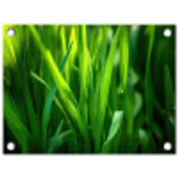 Grassprieten - Lichtinval - Groen tuinposter los doek klein -3d