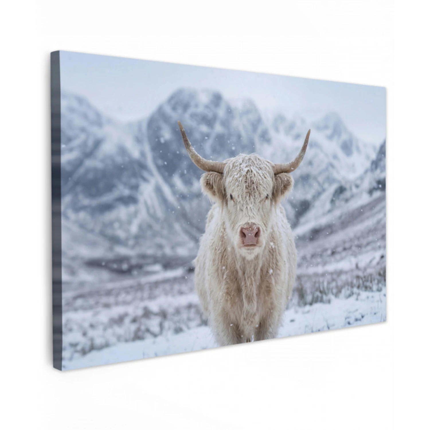 Schotse Hooglander - Sneeuw - Bergen - Winter canvas 2cm klein -z3d