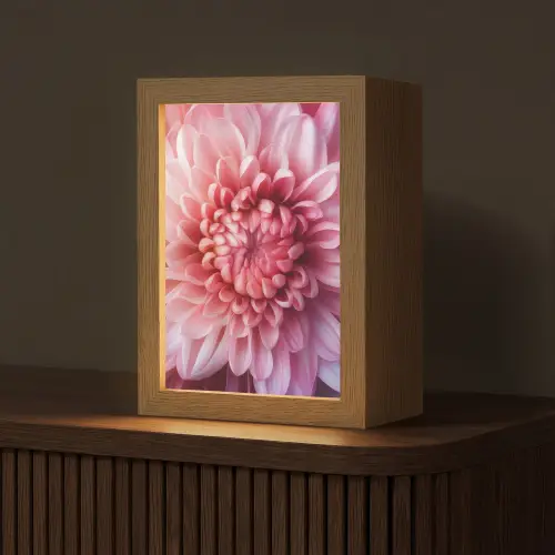 Dahlia - Bloem - Close up - Roze Light Box met kabel (Tafellamp) klein -z3d_website
