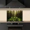 Bomen - Bos - Mos - Planten - Zon - Natuur keuken achterwand spatscherm klein -sfeer1