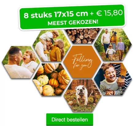8 stuks 17x15 cm + € 15,80. MEEST GEKOZEN!