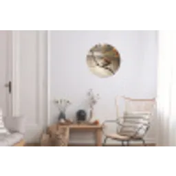 Winterkoninkje - Tak - Rivier - Natuur - Sfeervol Wandcirkel aluminium klein -woonkamer