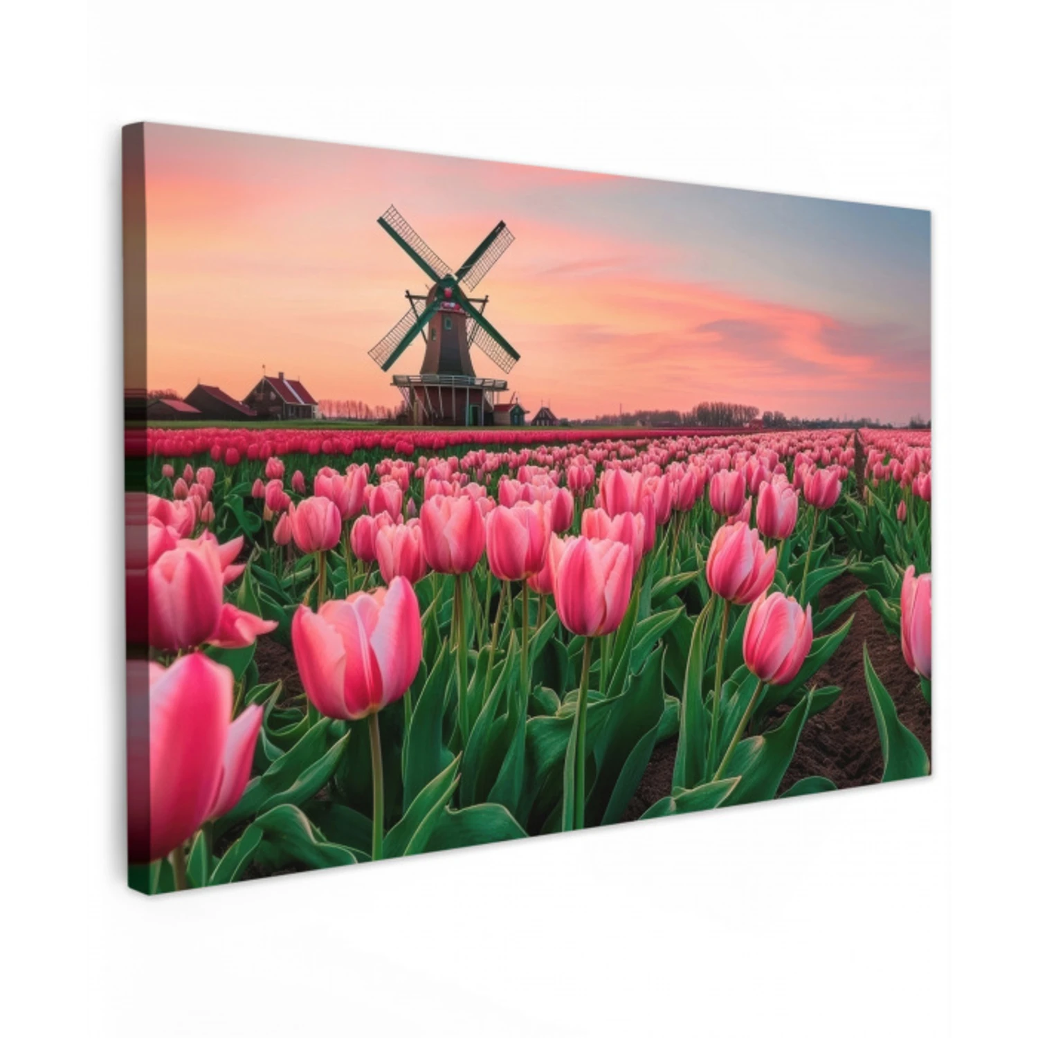 Tulpen - Molen - Nederland Tuinposter op houten frame 2 cm dik klein -3d