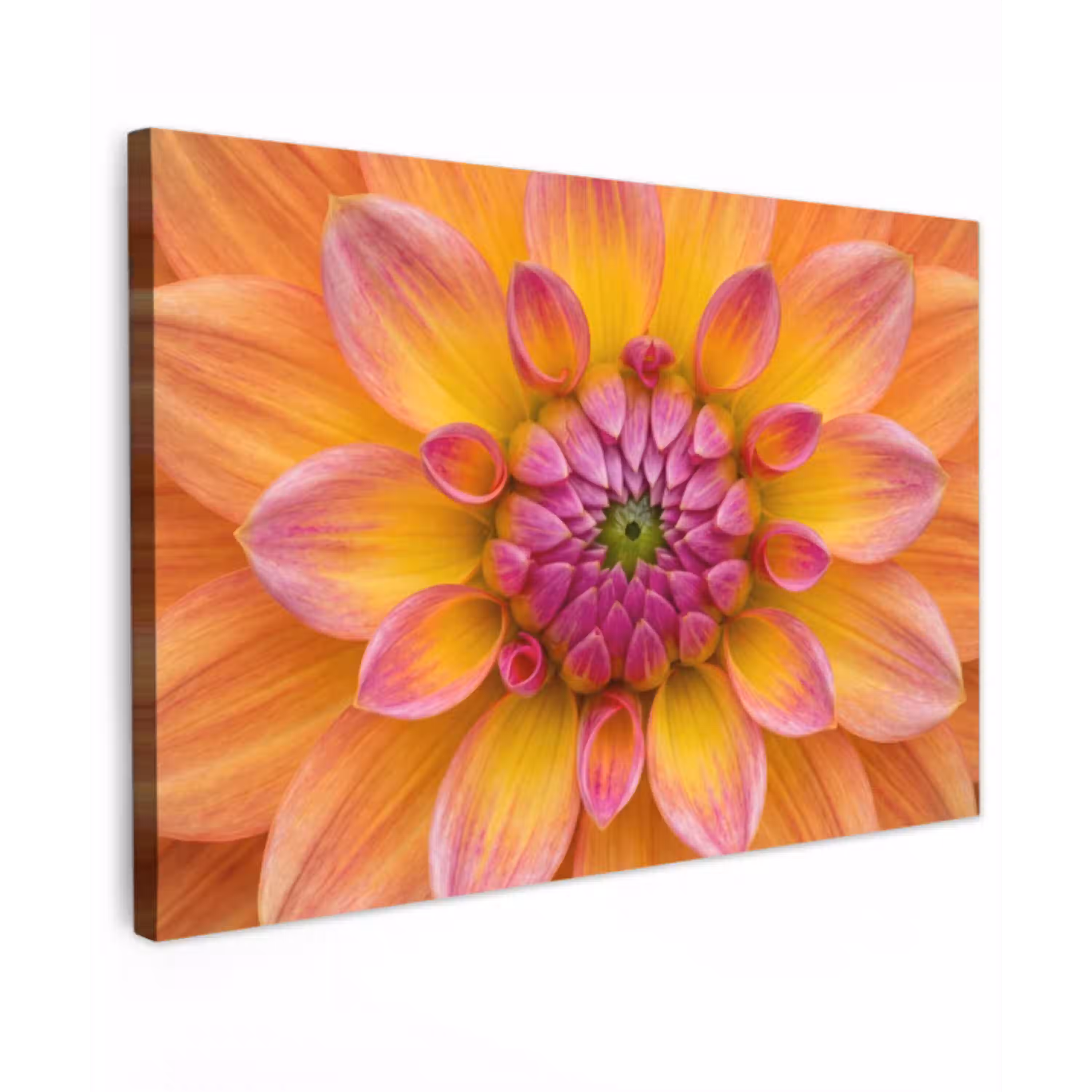 Dahlia - Bloem - Oranje Tuinposter op houten frame 2 cm dik klein -3d