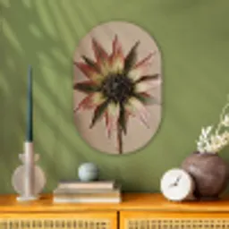 Droogbloem - Protea - Vintage - Beige - Rustiek Wandcirkel Ovaal Forex klein -sfeer2