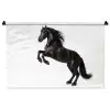 Zwart - Paard - Portret Wandkleed katoen middel -zz3d