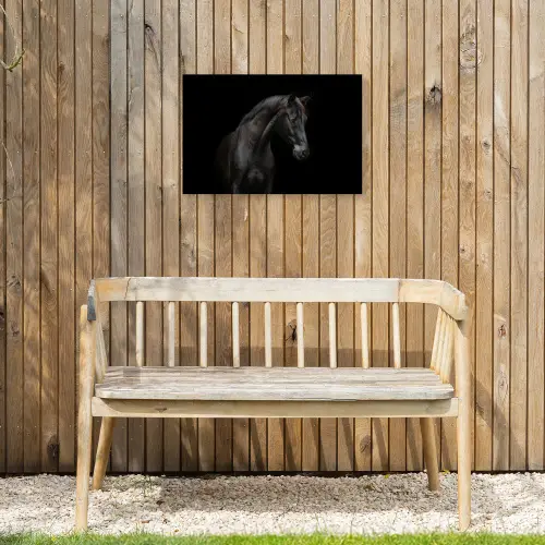 Paard - Dieren - Zwart - Portret Tuinposter op houten frame 2 cm dik klein -sfeer4