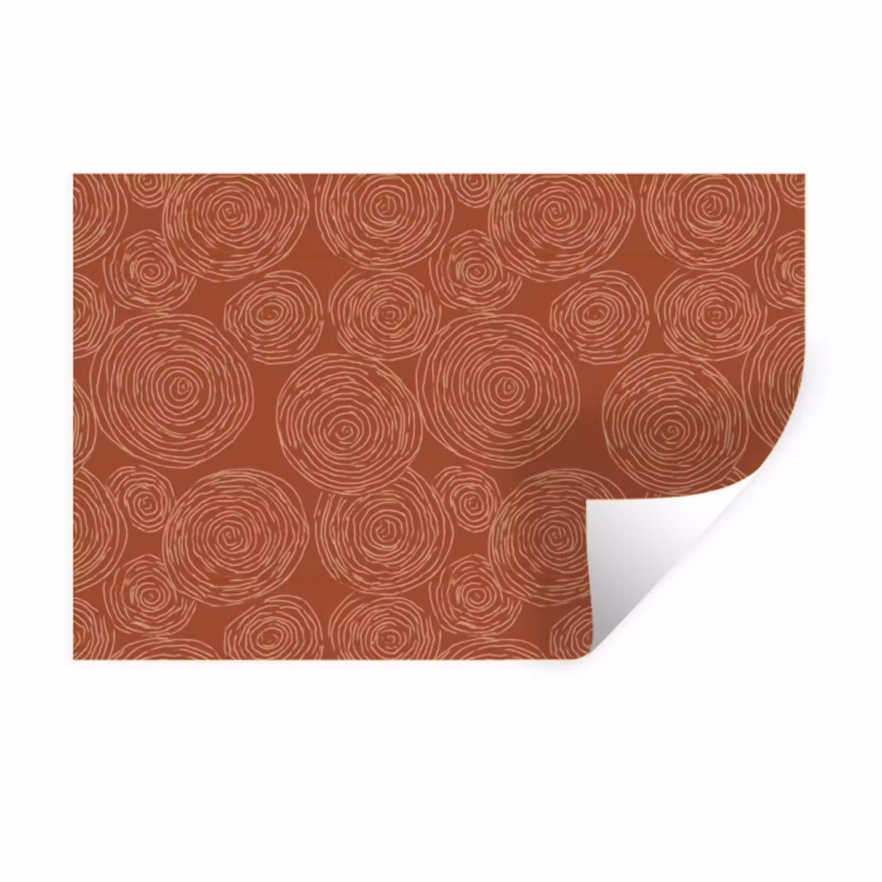 Cirkels - Abstract - Artistiek - Terracotta Muursticker klein 286 -3d