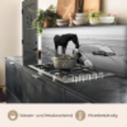 Paard - Auto - Zwart - Wit keuken achterwand 2 middel -usp_DE