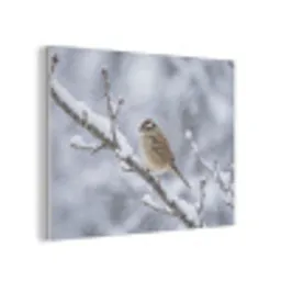 Vogel - Tak - Sneeuw - Winter PET vilt klein -3d