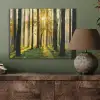 Bos - Zon - Bomen - Gras - Landschap  - Natuur PET vilt klein -sfeer2