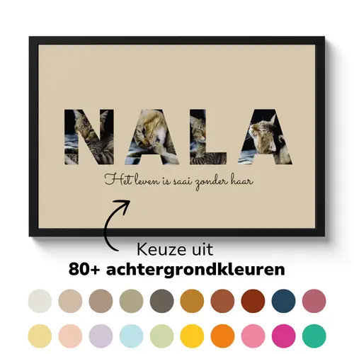 6e723193-a500-4aaa-b0a0-90d12528d7b2.png