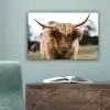 Schotse Hooglander -  Koe - Gras - Dieren - Natuur canvas 2cm klein -sfeer4