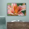 Lelie - Close up - Lichtroze canvas 2cm klein -sfeer4