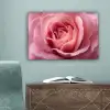 Roze - Roos - Romantisch canvas 2cm klein -sfeer4
