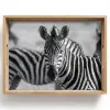 Zebra's - Zwart - Wit Dienblad Rechthoek middel -z3d_shopping