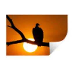 Gier - Tak - Zon - Oranje Muursticker klein -3d