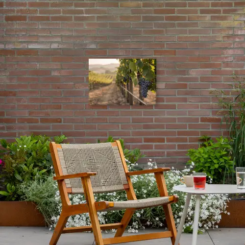 Druiven - Wijngaard - Zonlicht Tuinposter op houten frame 2 cm dik klein -sfeer3