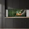 Veld - Groenten - Biologisch - Oogst keuken achterwand 2 middel -sfeer1