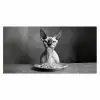 Sphynx - Kat - Dieren - Humor - Spaghetti - Zwart Wit Muismat XXL klein -3d_leeg