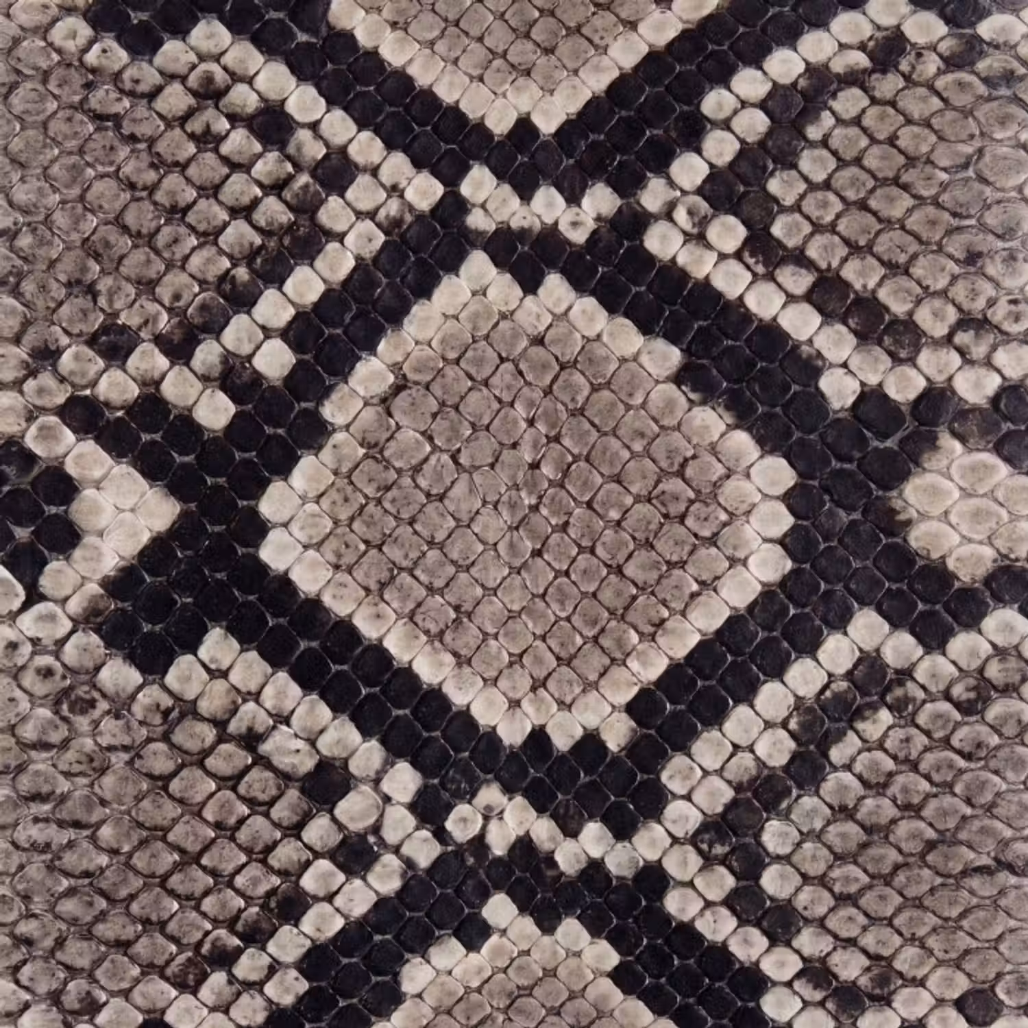 Tapete - Schlangenhaut - Gemustert - Beige