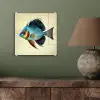 Blauw - Kieuwen - Vis - Illustratie plexiglas 5mm klein -sfeer3