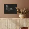 Vlinder - Zwart - Insect - Dieren PET vilt klein -sfeer4