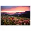 Bloemen - Bergen - Landschap - Nacht - Lucht - Roze poster papier klein -3d