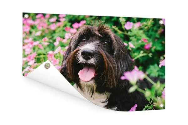 Tuinposter met ringen en hond
