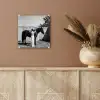 Vrouw - Paard - Artistiek plexiglas 5mm klein -sfeer5