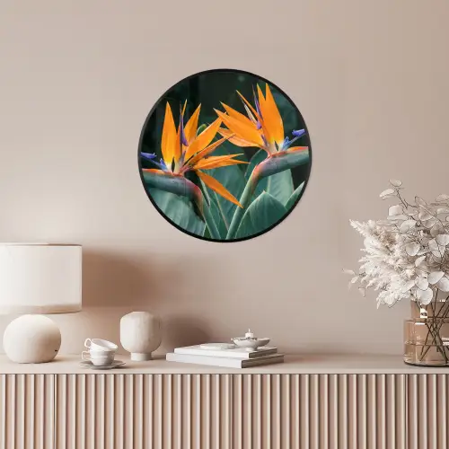Paradijsvogel - Bloem - Exotisch Fotolijst rond zonder passe partout klein -sfeer3