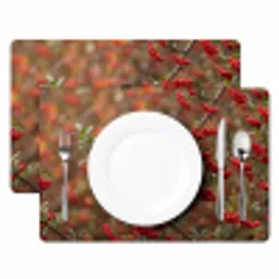 Goudvink - Bessen - Herfst - Natuur - Kleurrijk Placemat vinyl groot -zzsfeer2_Kitchenyeah-website