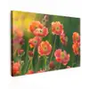 Bloemenveld - Zonnestralen - Oranje canvas 2cm klein -z3d