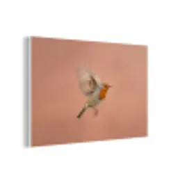 Roodborst - Natuur - Roze forex 5mm xxl -3d