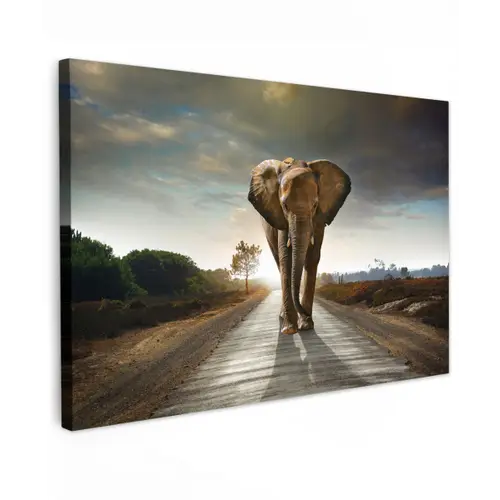 Olifant - Weg - Dieren - Zonsondergang - Landschap canvas 2cm klein -z3d