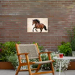 Paard - Galop - Energie Tuinposter op houten frame 2 cm dik klein -sfeer3