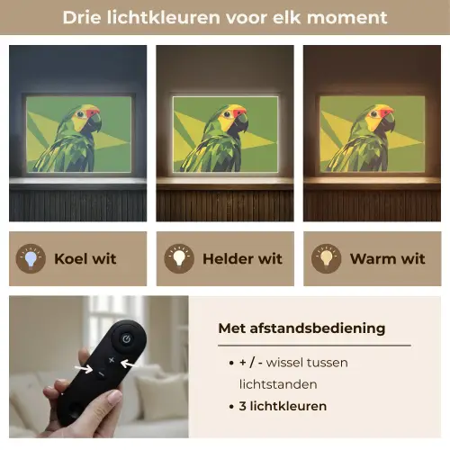 Papegaai - Groen - Snavel - Abstract Light Box met batterij (Wandlamp) middel -USP_lichtkleurNL