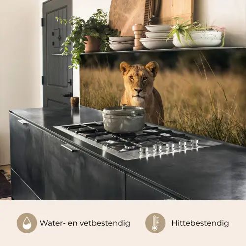 Leeuwin - Gras - Geel keuken achterwand 2 middel -usp_NL