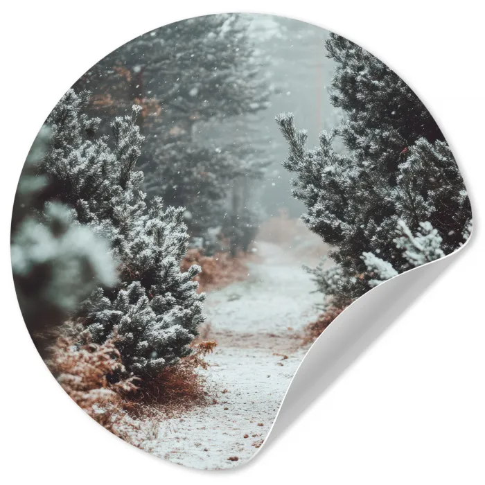 Bos - Winter - Bomen - Natuur - Pad - Sneeuw Wandcirkel behangsticker klein -3d