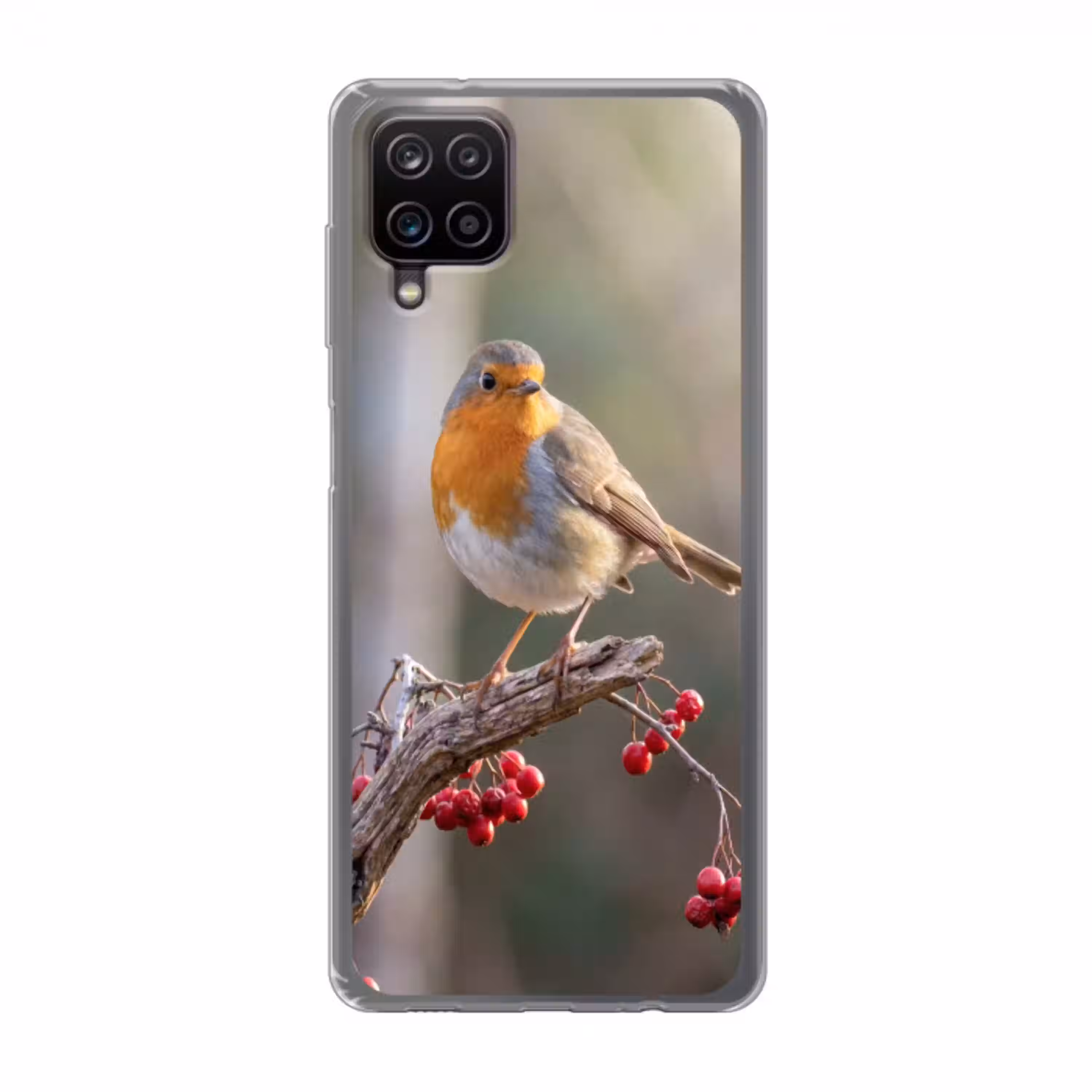 Roodborst - Tak - Bessen - Natuur Telefoonhoesje Samsung Galaxy A12 klein -3d