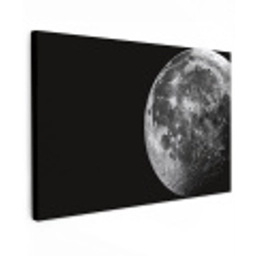 Close-up - Maan - Wit - Textuur Tuinposter op houten frame 2 cm dik klein -3d