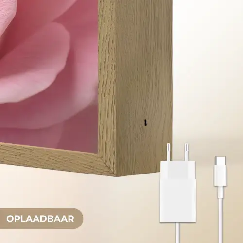 Roze - Roos - Romantisch Light Box met batterij (Wandlamp) middel -USP_websiteoplaadbaarNL
