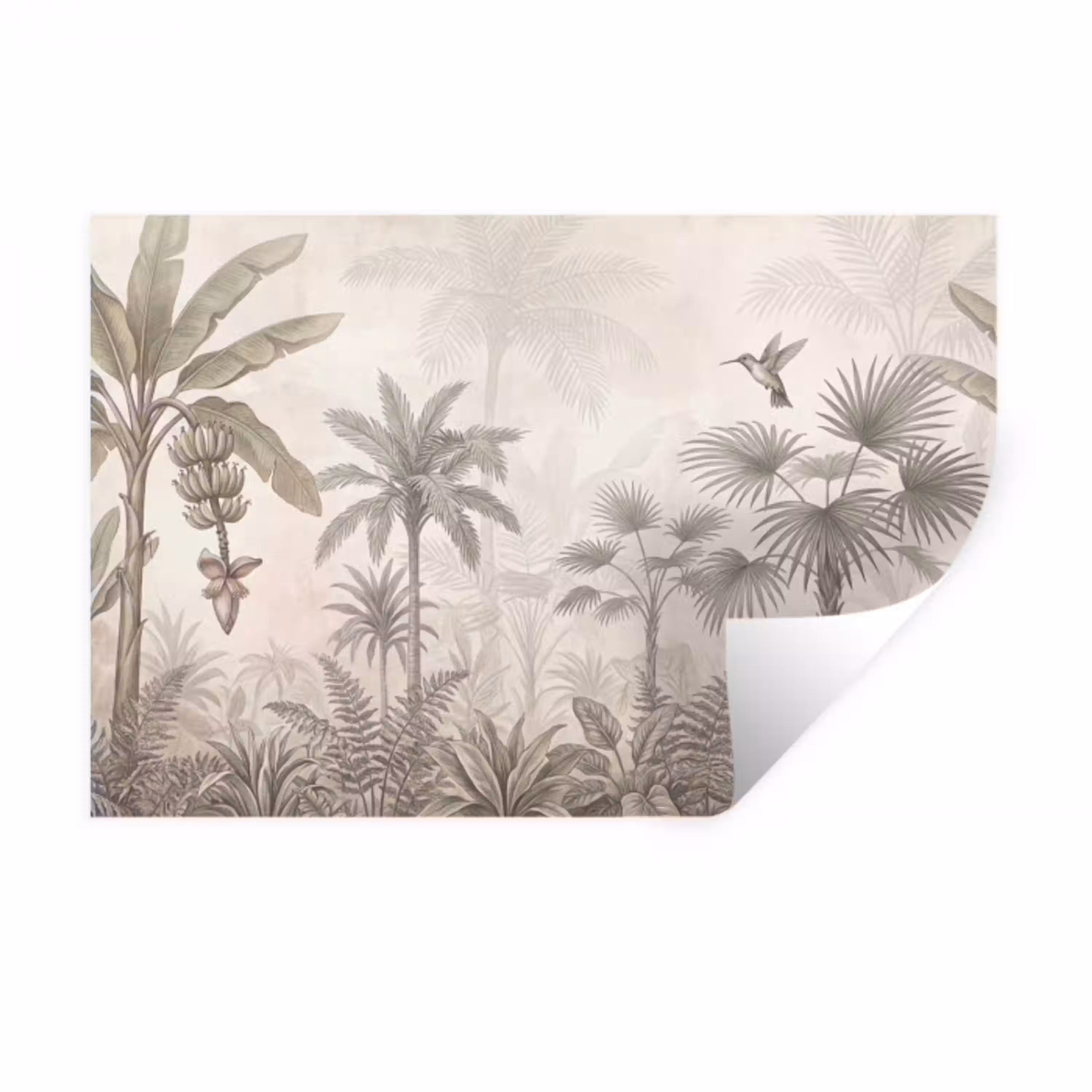 Jungle - Banenboom - Kolibrie - Beige Muursticker klein -3d