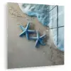 Zeesterren - Zand - Zee - Blauw plexiglas 5mm klein -zzzproduct_nieuw