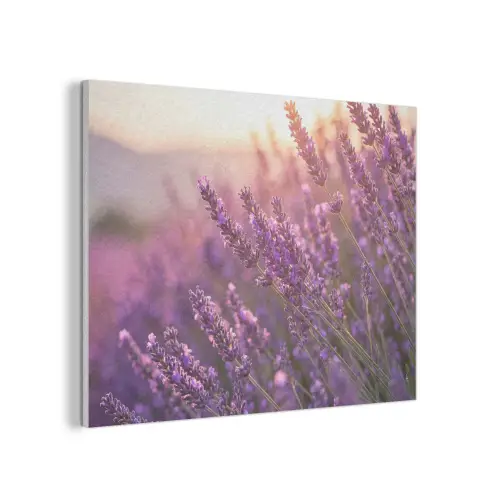 Lavendel - Paars - Zonlicht PET vilt klein -3d